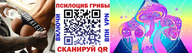 дарнет шоп  Верхнеуральск  Галлюциногенные грибы Cubensis 